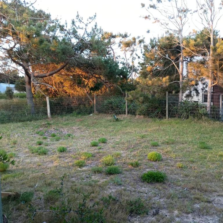Mis dos amores - Casa de 2 dormitorios - 14
