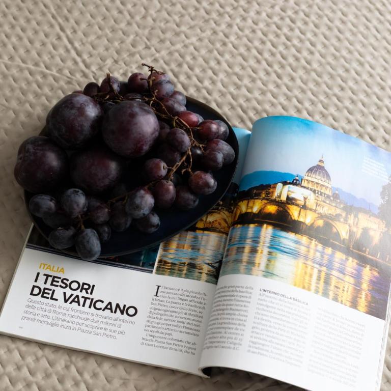 Vatican Luxury Apartment steps to Metro AC & Wi-fi - Appartamento con 3 Camere da Letto - 21