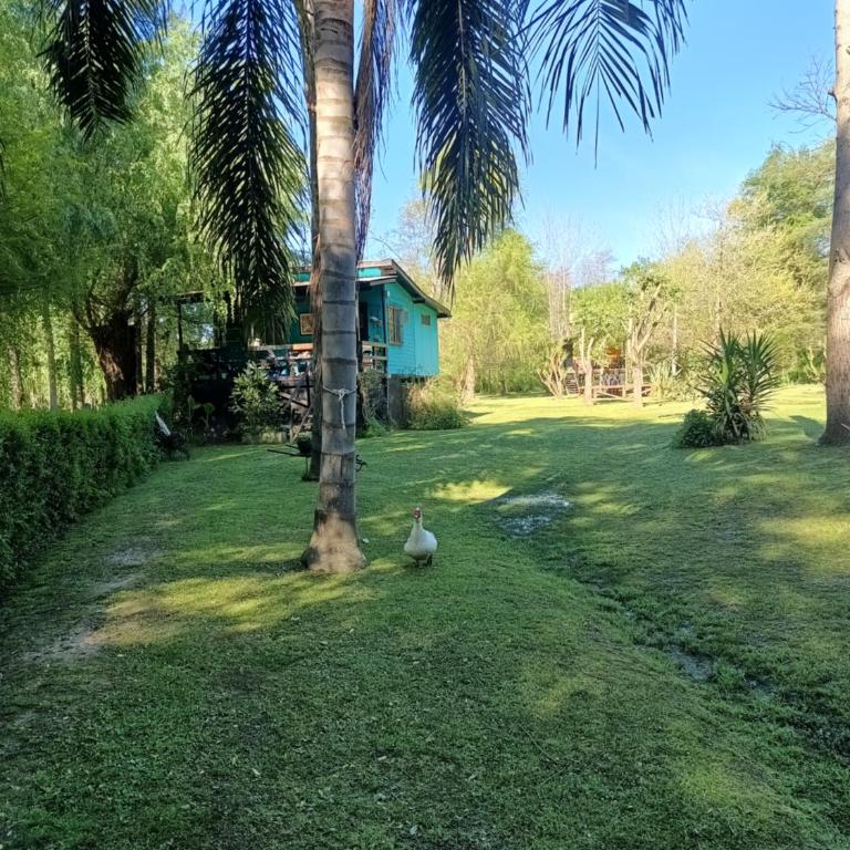 Cabaña AGUAPE - Casa de 2 dormitorios - 16