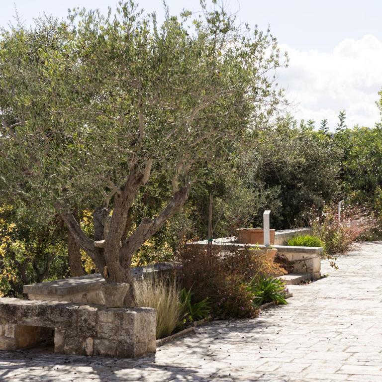 Trullo Luco - Villa - 15