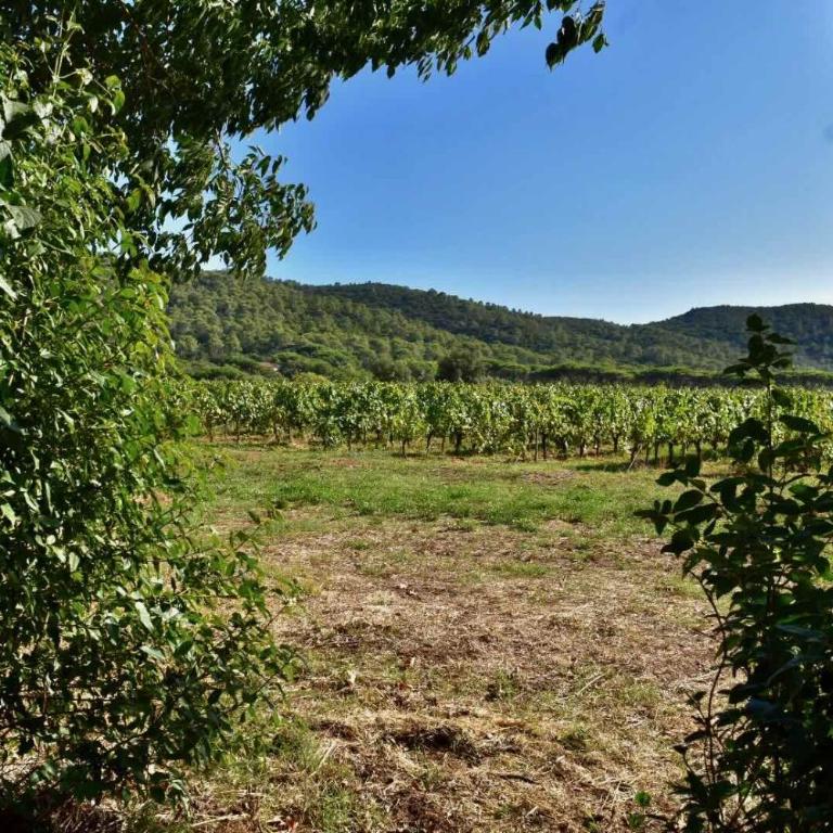 Maison en pierre rénovée avec jardin et piscine privative chauffée - Haus mit 3 Schlafzimmern - 8