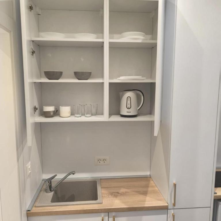 Hearth of Sarajevo - Apartman sa 1 Spavaćom Sobom - 1