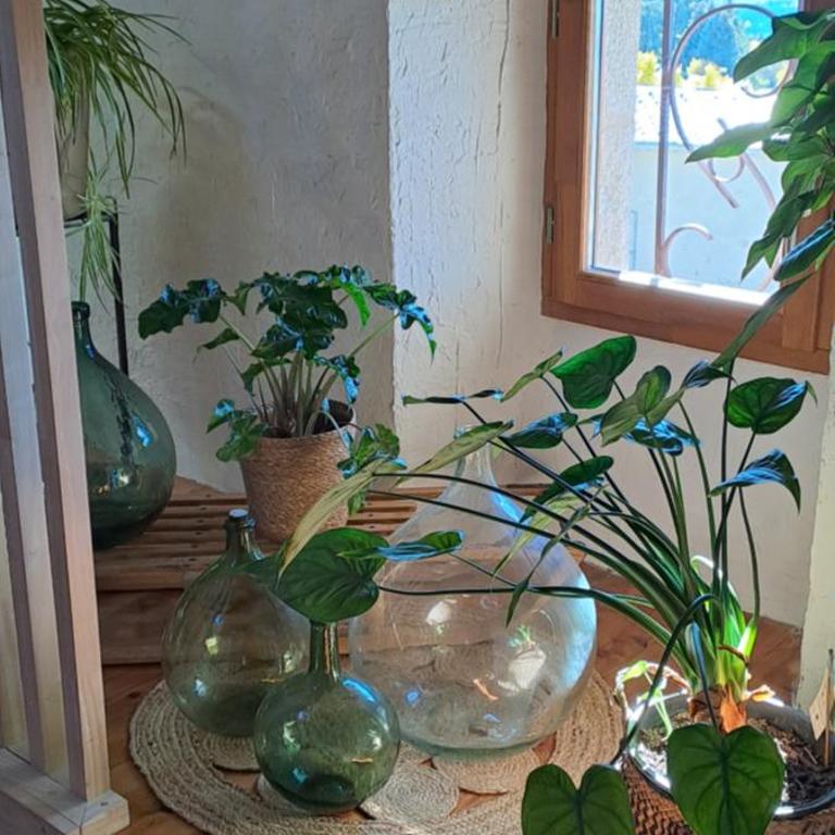 Chez Christine Et Fabrice - Suite 2 Chambres - 1