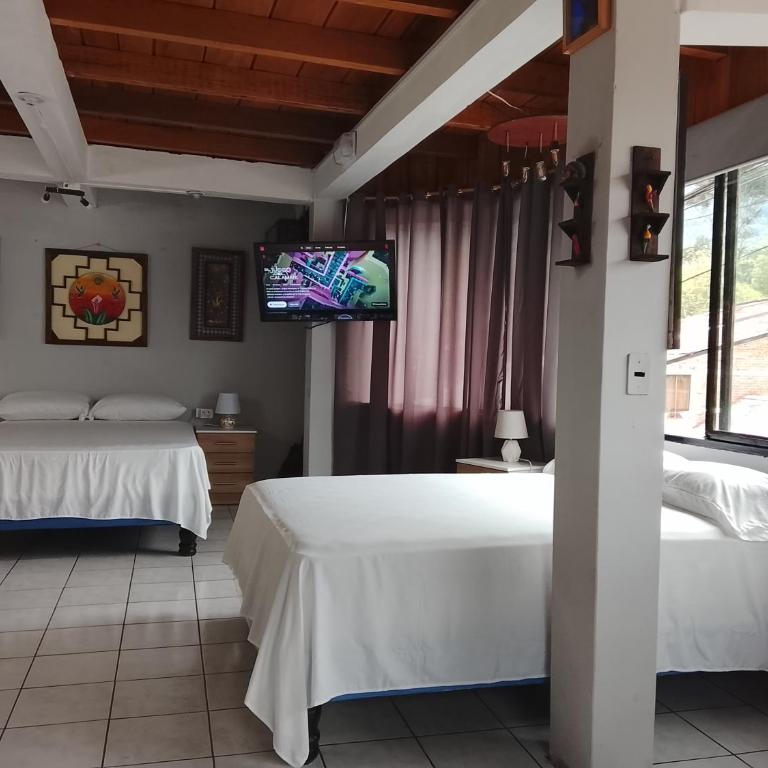 Aracari Inn Mindo - Superior Studio - 7