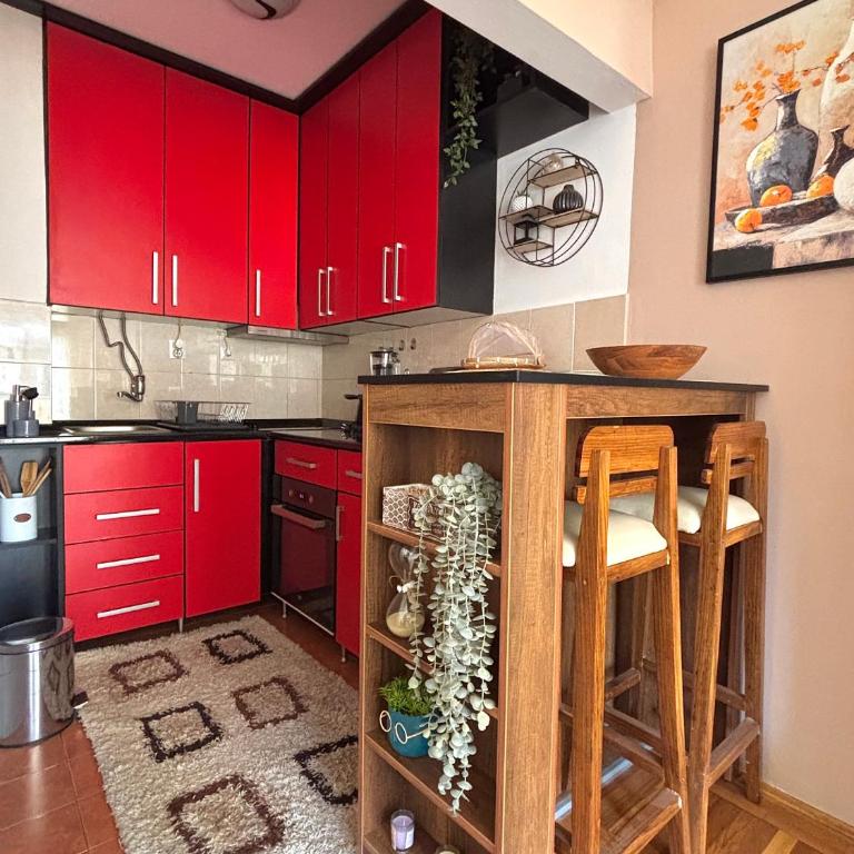 Apartman ASKA - Apartman sa 1 Spavaćom Sobom - 12