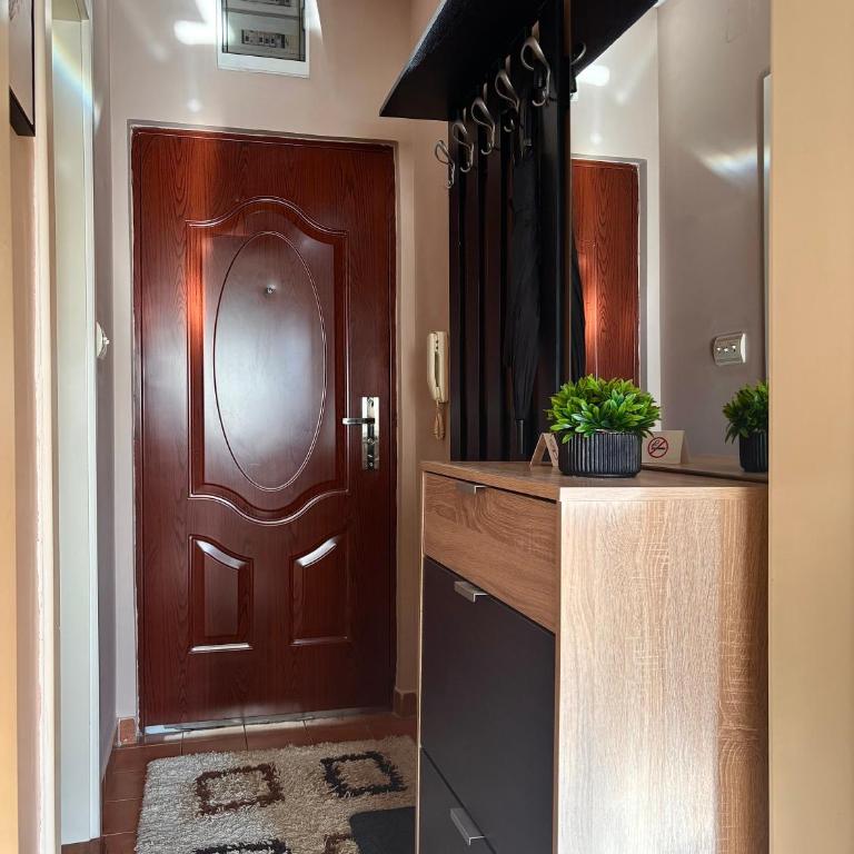 Apartman ASKA - Apartman sa 1 Spavaćom Sobom - 18