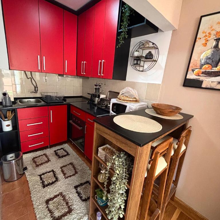 Apartman ASKA - Apartman sa 1 Spavaćom Sobom - 13