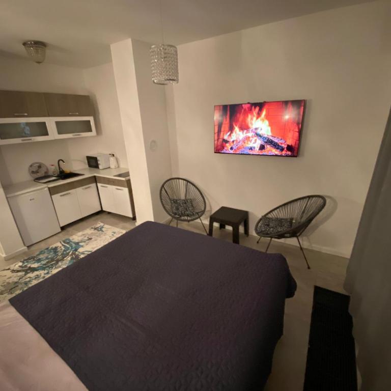 Elite Two Premium Apartment - One-Bedroom Apartment - 6