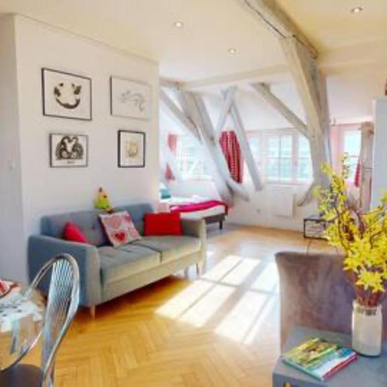 le nid des tanneurs Colmar centre - Appartement 2 Chambres - 1