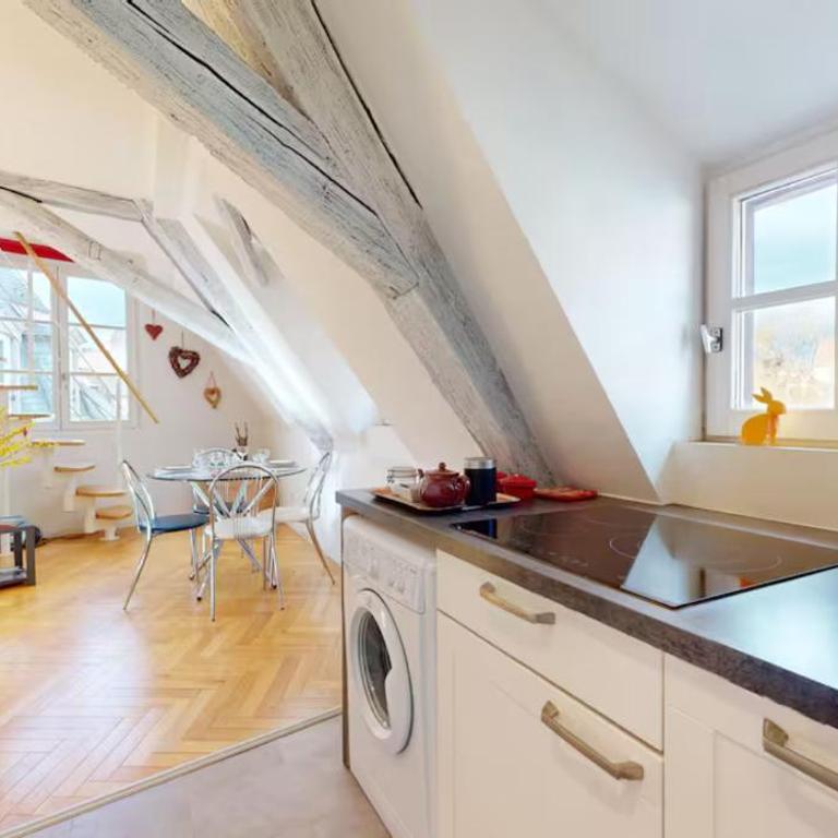 le nid des tanneurs Colmar centre - Appartement 2 Chambres - 3