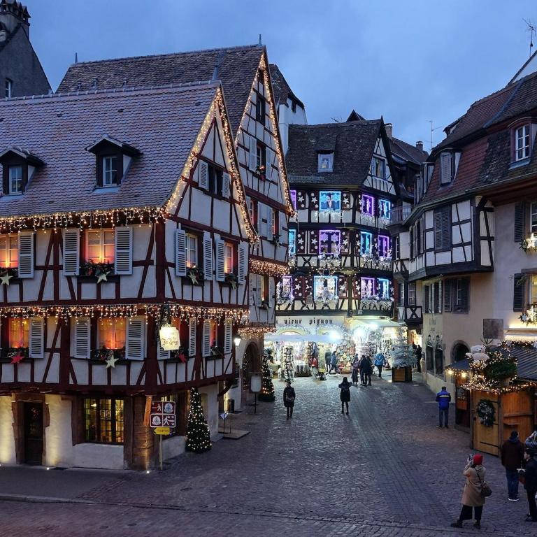 le nid des tanneurs Colmar centre - Appartement 2 Chambres - 5