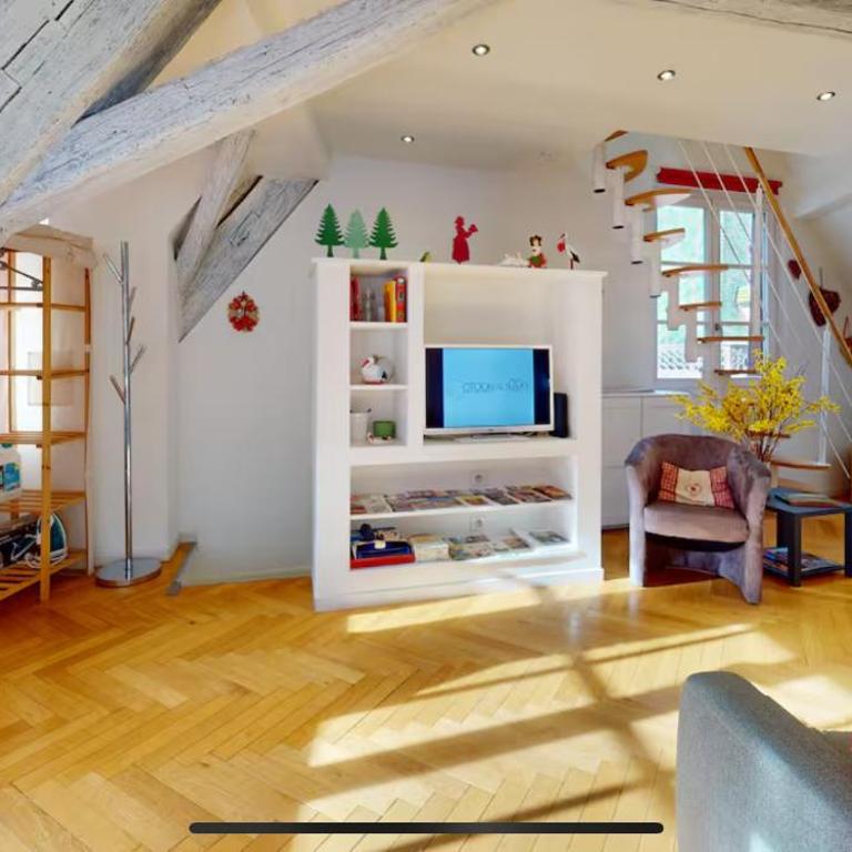 le nid des tanneurs Colmar centre - Appartement 2 Chambres - 8