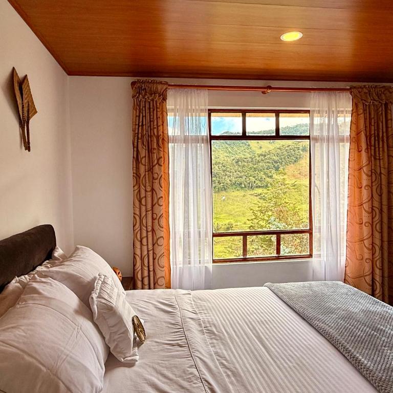 Hacienda el Recuerdo - Double Room with Mountain View - 3