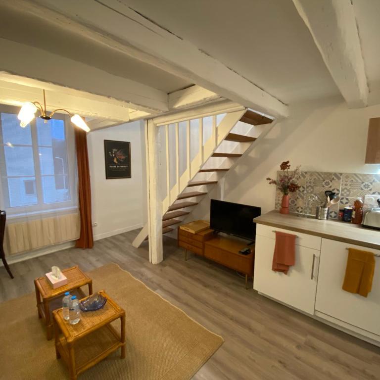 Les Cosy de Nancy - Le repère du roi stanislas 4étoiles - Appartement en Duplex - 22