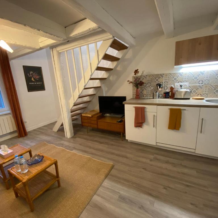 Les Cosy de Nancy - Le repère du roi stanislas 4étoiles - Appartement en Duplex - 21