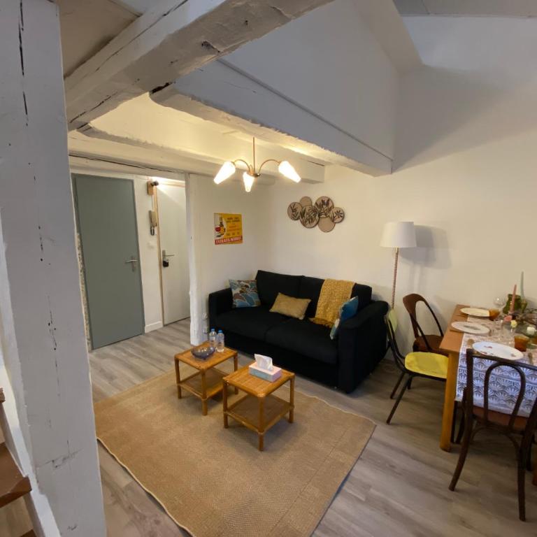 Les Cosy de Nancy - Le repère du roi stanislas 4étoiles - Appartement en Duplex - 2