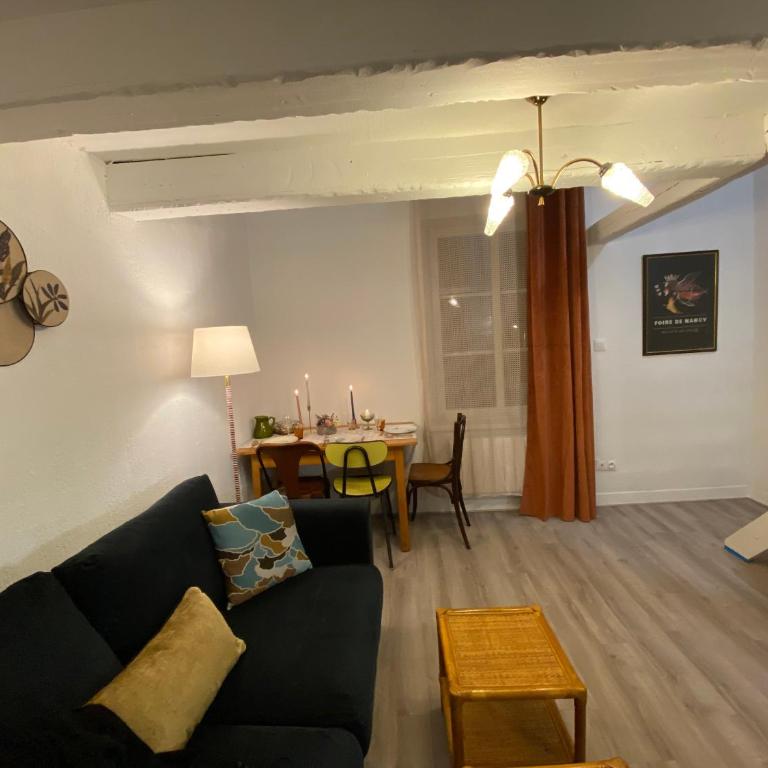 Les Cosy de Nancy - Le repère du roi stanislas 4étoiles - Appartement en Duplex - 6
