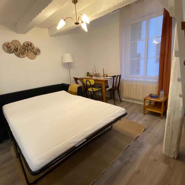Les Cosy de Nancy - Le repère du roi stanislas 4étoiles - Appartement en Duplex - 9