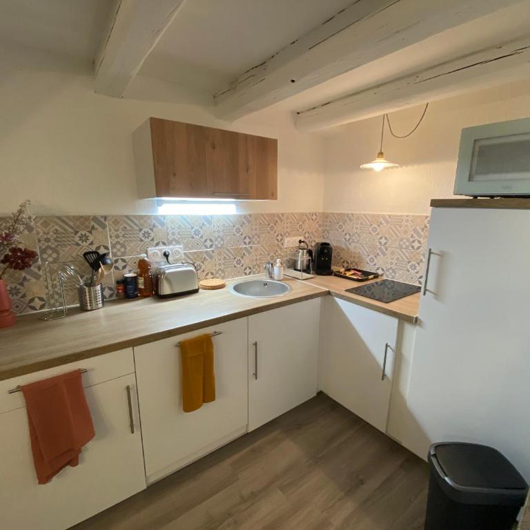 Les Cosy de Nancy - Le repère du roi stanislas 4étoiles - Appartement en Duplex - 17