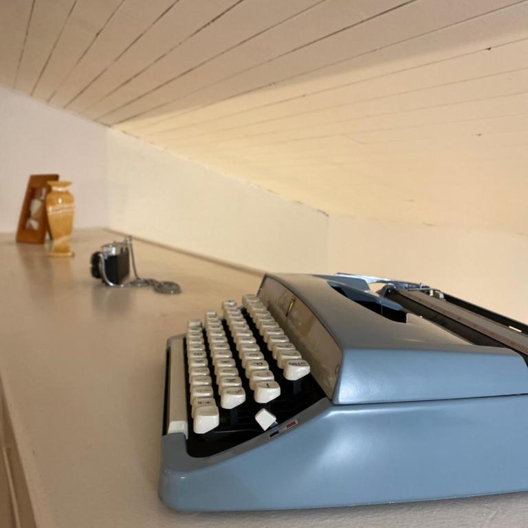 Les Cosy de Nancy - Le repère du roi stanislas 4étoiles - Appartement en Duplex - 24