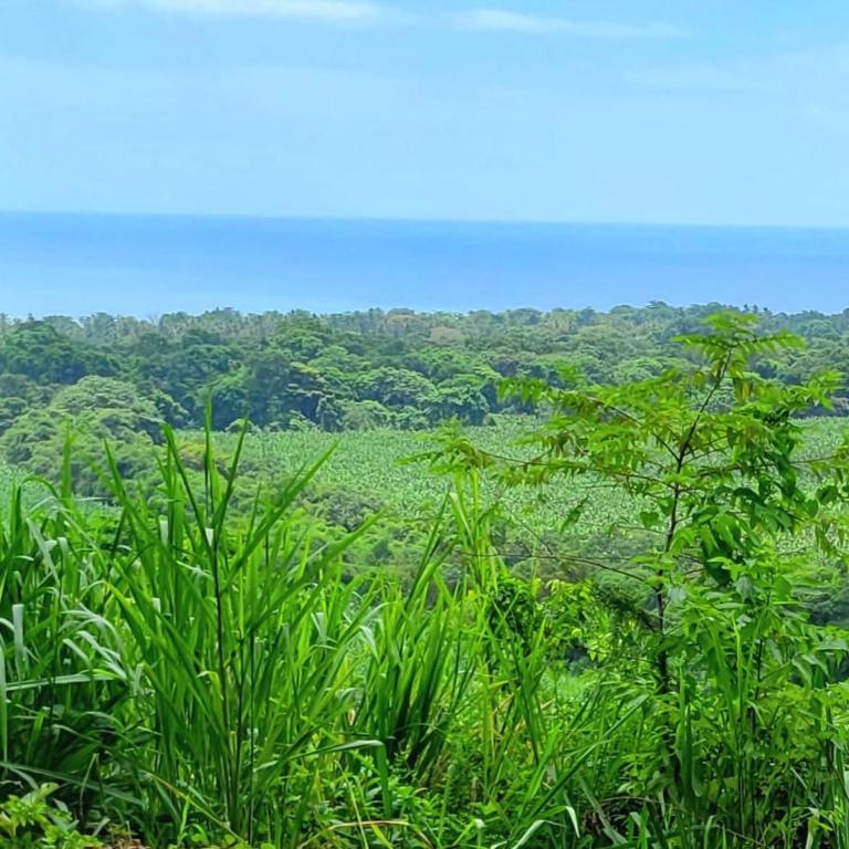 Promisedland Tayrona Cabins Hotel - Suite con cama extragrande y vistas al mar - 28