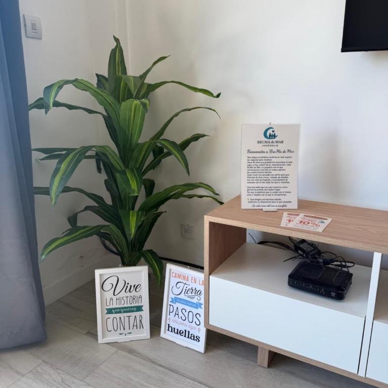 BruMa de mar, La Perla - Apartamento de 2 dormitorios - 7