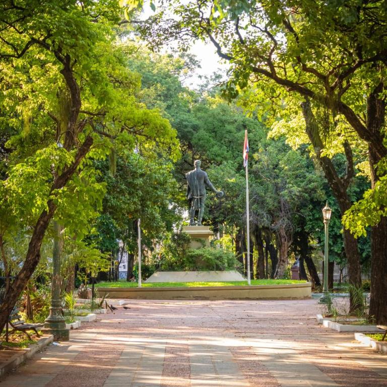 Coral Apartment - Apartamento de 2 dormitorios - 16