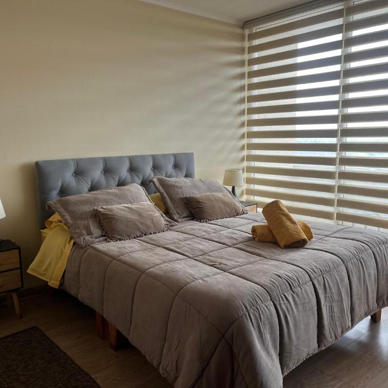 Departamento 1510 CENTRO TEMUCO - One-Bedroom Apartment - 2