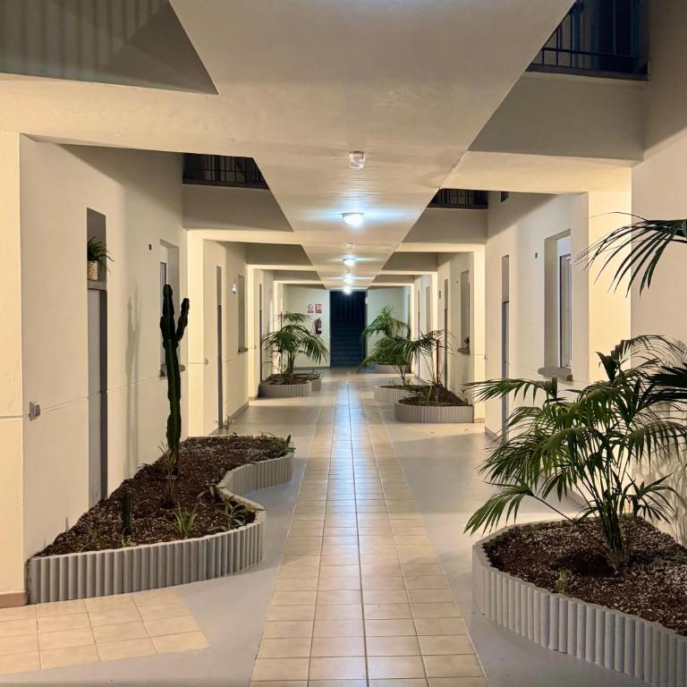 Vamos Tenerife - Playa La Arena - Puerto De Santiago - Apartamento de 1 dormitorio - 24