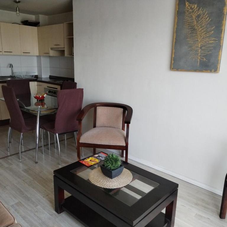Avenida Ejército Libertador a pasos del Movistar Arena - One-Bedroom Apartment - 9