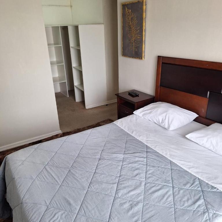 Avenida Ejército Libertador a pasos del Movistar Arena - One-Bedroom Apartment - 20
