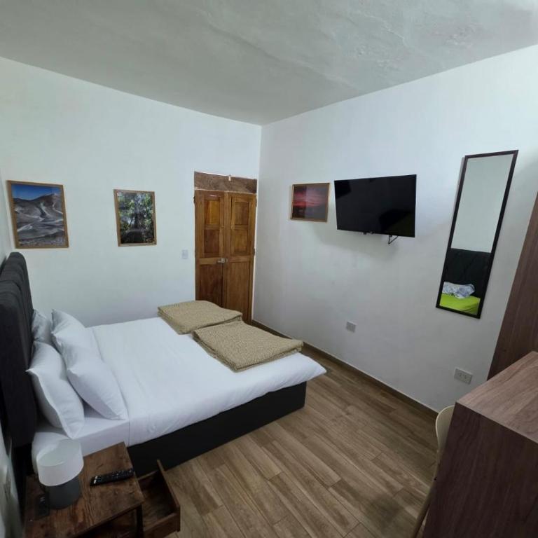 La Maison San LaZaro - One-Bedroom Apartment - 1