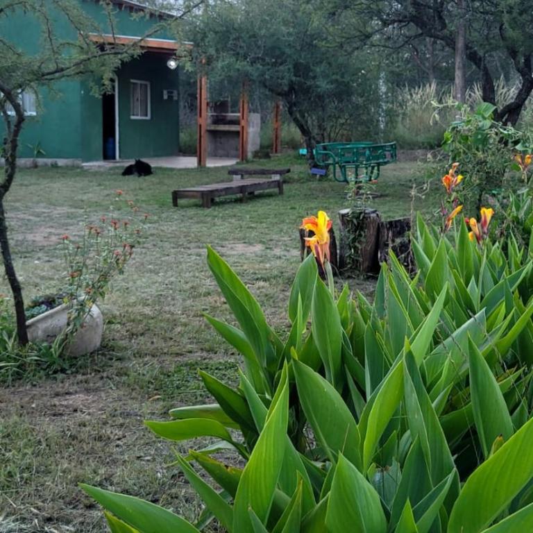 Casa de Amigos - Chañar - Casa con 1 dormitorio - 4