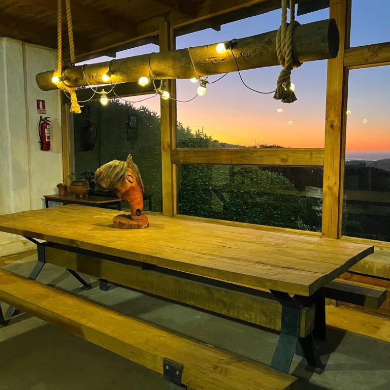 Concon - Cabin Plot - Tinaja - Quincho -Cancha - Casa con 1 dormitorio - 21