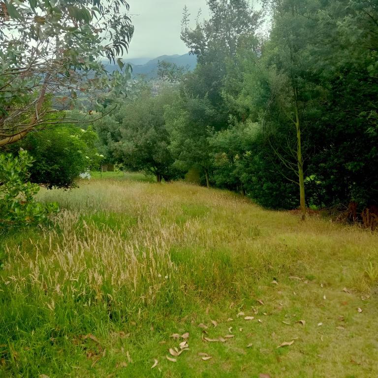 Casa Zipaquira, Sabana, rodéate de naturaleza, aire puro - Casa de 4 dormitorios - 54