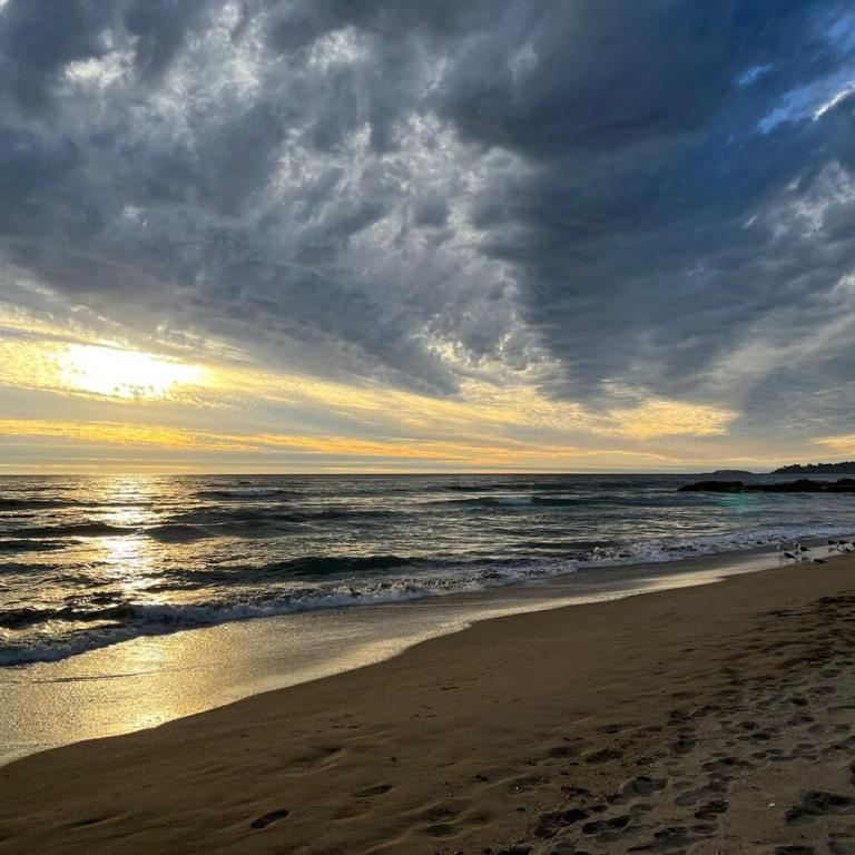 Beach and golf course resort, Costa Cachagua - Apartment - 5