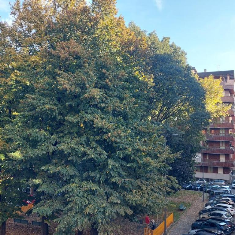 Large Apartment Città Studi Milano - Appartamento con 2 Camere da Letto - 17