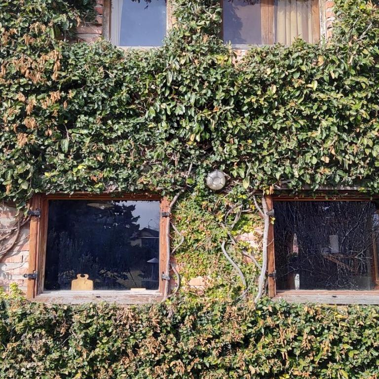 Ecos Casas de Montaña - Casa de 3 dormitorios - 24