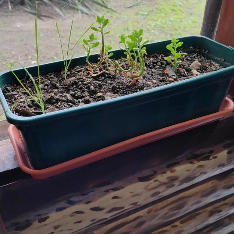 Ecos Casas de Montaña - Casa de 2 dormitorios - 6