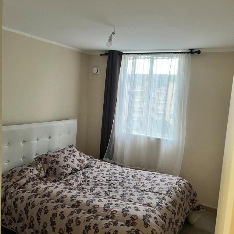 Apartmento en Villarica - Apartamento de 1 dormitorio - 14