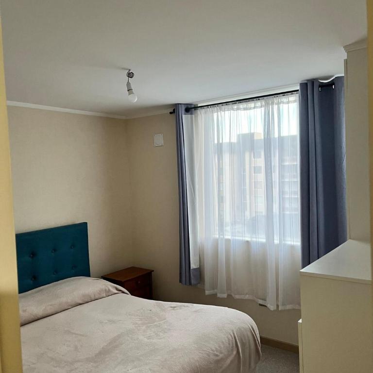 Apartmento en Villarica - Apartamento de 1 dormitorio - 11