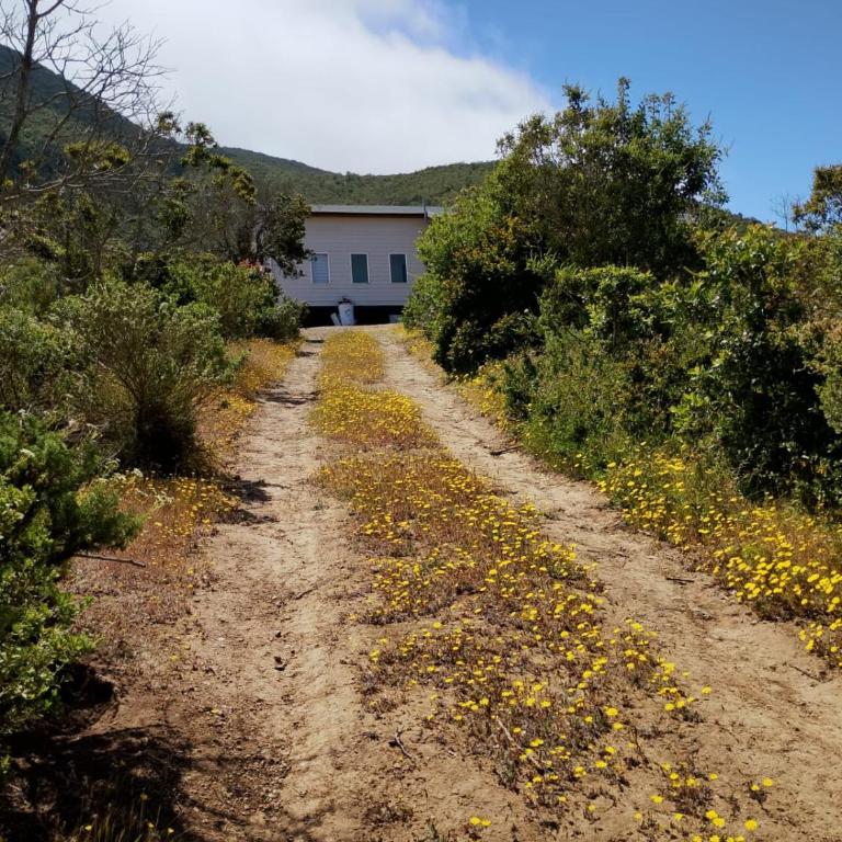 Casa parcela en Quilimari a 20 minutos de playa Pichidangui - Vacation Home - 21