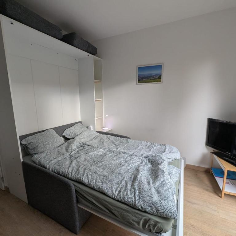 Gîte CROIX du SALEVE - Appartement 1 Chambre - 17