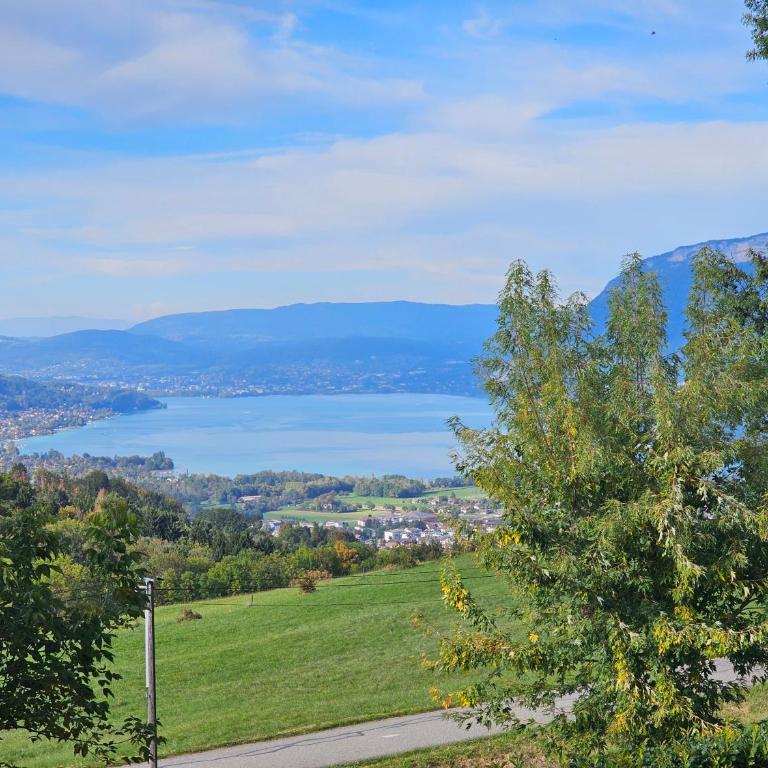 Le Balcon des Cimes 6 Pers Vue panoramique lac d'Annecy - Maison 2 Chambres - 45