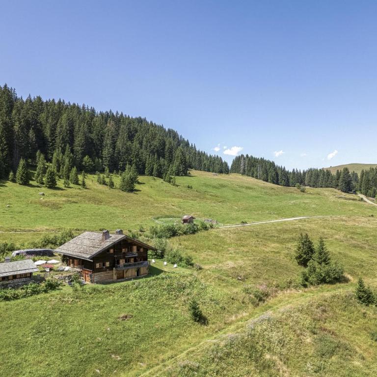 Chalet Marguerite - Comfort Chalet - 11