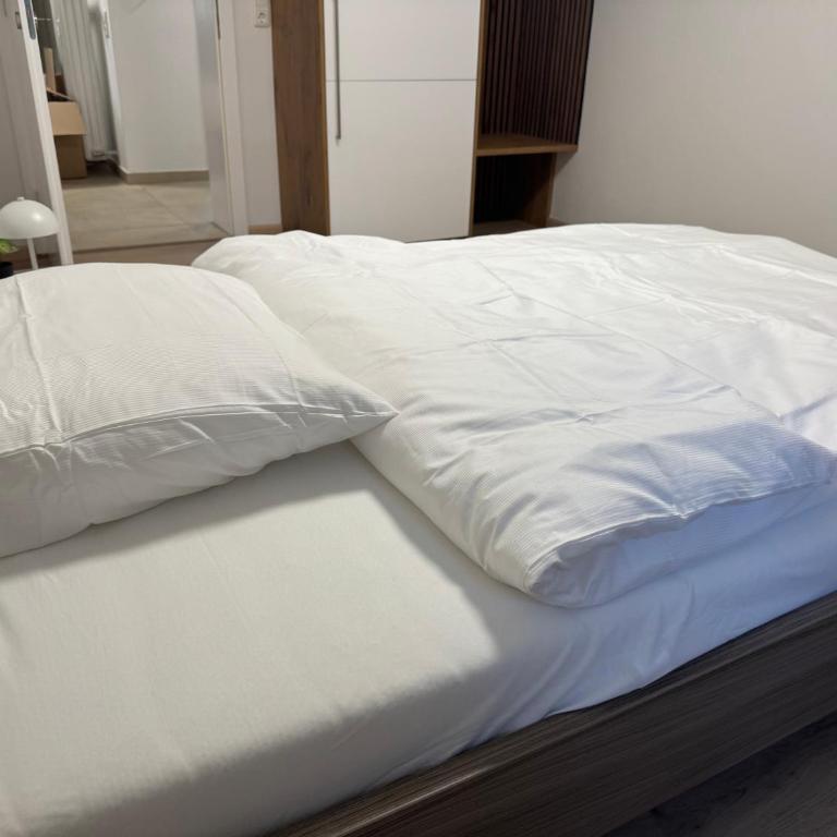 WOLF FLATS Klagenfurt - Apartment mit 3 Schlafzimmern - 32