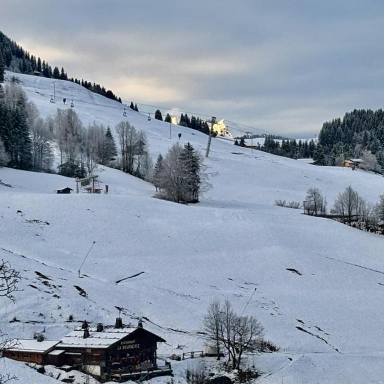 4-star 6-person apartment Chinaillon mountain view - Appartamento - 18