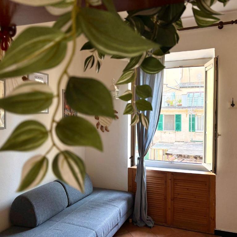 Creuza de mä - Appartamento con 1 Camera da Letto - 3