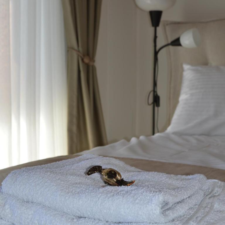 Deluxe Mountain View Studio ViS in Residence Hill Hotel Kopaonik - One-Bedroom Apartment - 30