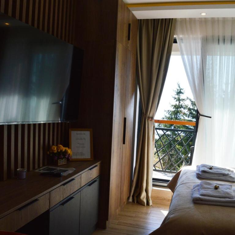 Deluxe Mountain View Studio ViS in Residence Hill Hotel Kopaonik - One-Bedroom Apartment - 24